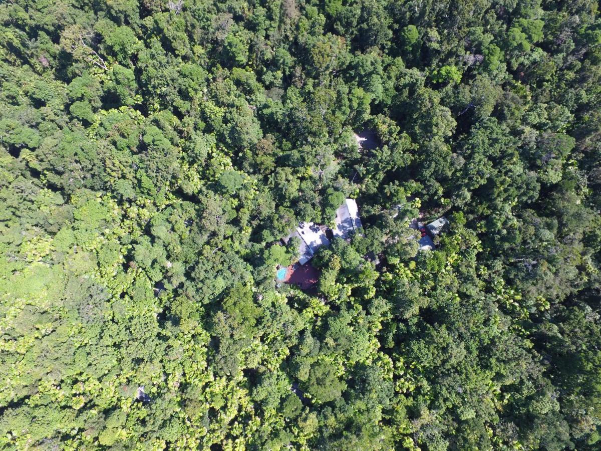 Daintree Wilderness Lodge